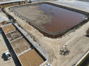 Fanelli Dairy Wood Media and Drainage Basin Tests